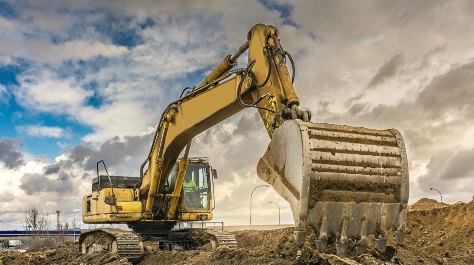 shutterstock_1015449130