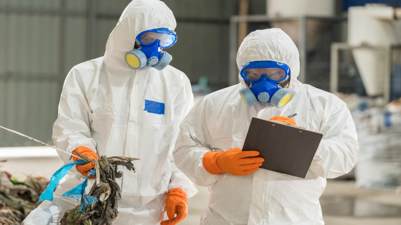 shutterstock_2633076559